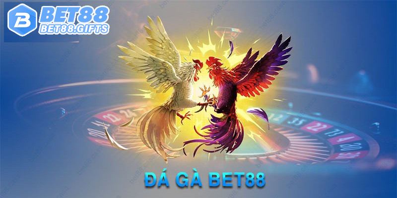 Khám phá thế giới cá cược đá gà BET88 đỉnh cao