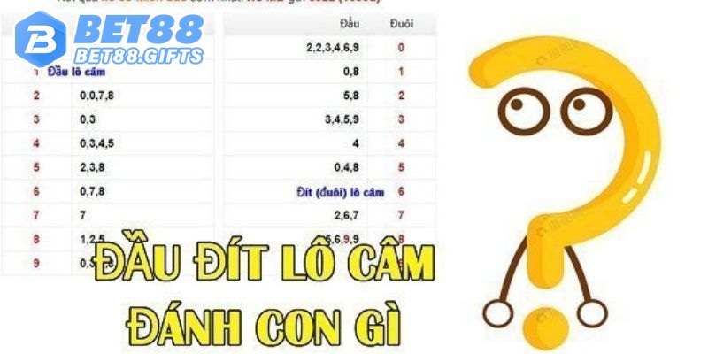 Bí Kíp Soi Cầu Bet88 - Chọn Con Số Chuẩn, Đổi Đời Liền Tay 5 Hướng dẫn bắt con số đẹp dựa vào dàn đầu câm và đuôi câm
